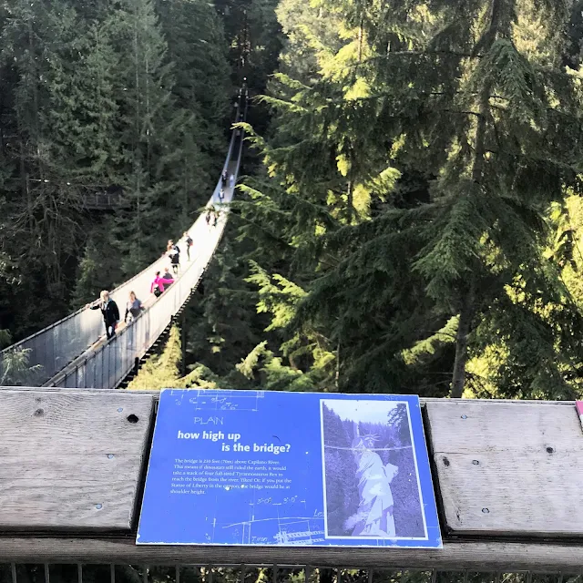 Capilano Suspension Bridge Park : 7 Unforgettable Experiences