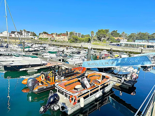 Dolphin Watching in Cascais: A Wild Atlantic Adventure with Four Adventure Boat Tours